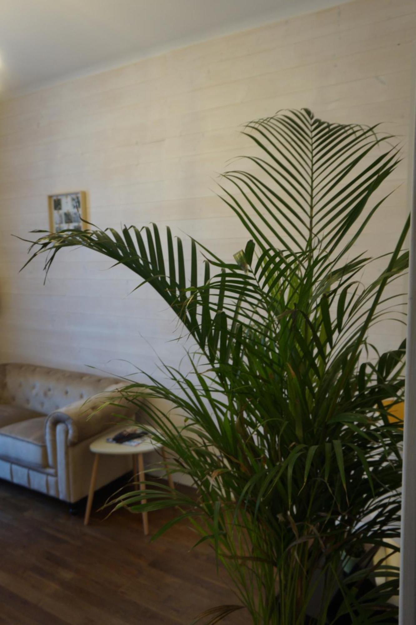 L'Experience Appartement & Spa Prive 尚贝里 外观 照片